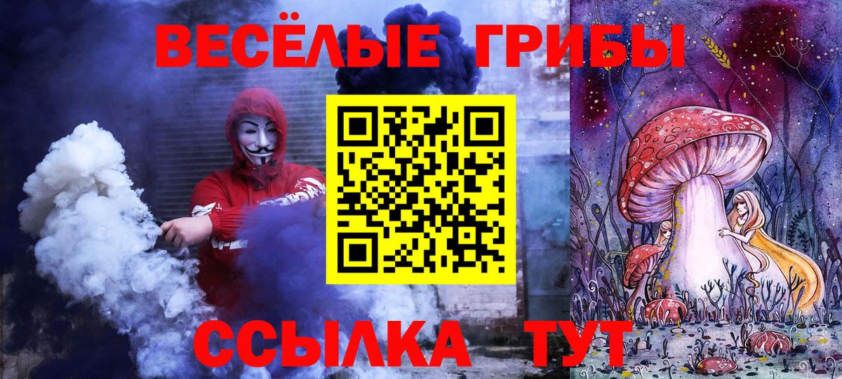 Ангарск  купить наркотик  Псилоцибиновые грибы мицелий  Вход с VPN  Псилоцибиновые грибы ЛСД 