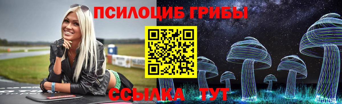 Псилоцибиновые грибы Psilocybine cubensis Ангарск